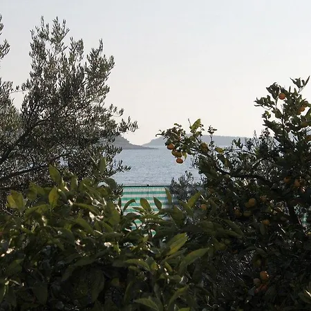 Rogoznica 7499a * Rogoznica (Sibenik-Knin)